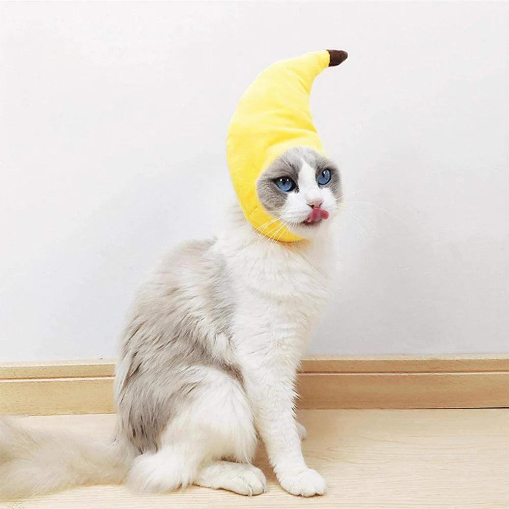 A fluffy white cat wearing a yellow banana cap costume.