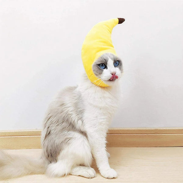 A fluffy white cat wearing a yellow banana cap costume.