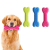 Un golden retriever lleva un juguete masticable en forma de hueso rosa junto a tres juguetes en forma de hueso verdes, azules