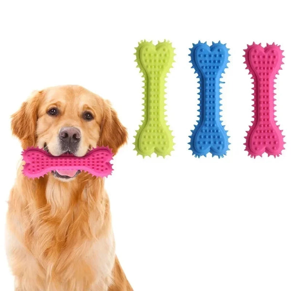 A golden retriever is wearing a pink bone-shaped dog chew toy alongside three green, blue, and pink bone-shaped toys.
