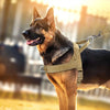 A brown German Shepherd wearing a tactical anti-pull dog harness outdoors.