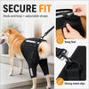 Black dog harness with hook-and-loop and adjustable straps shown on an orange dog.