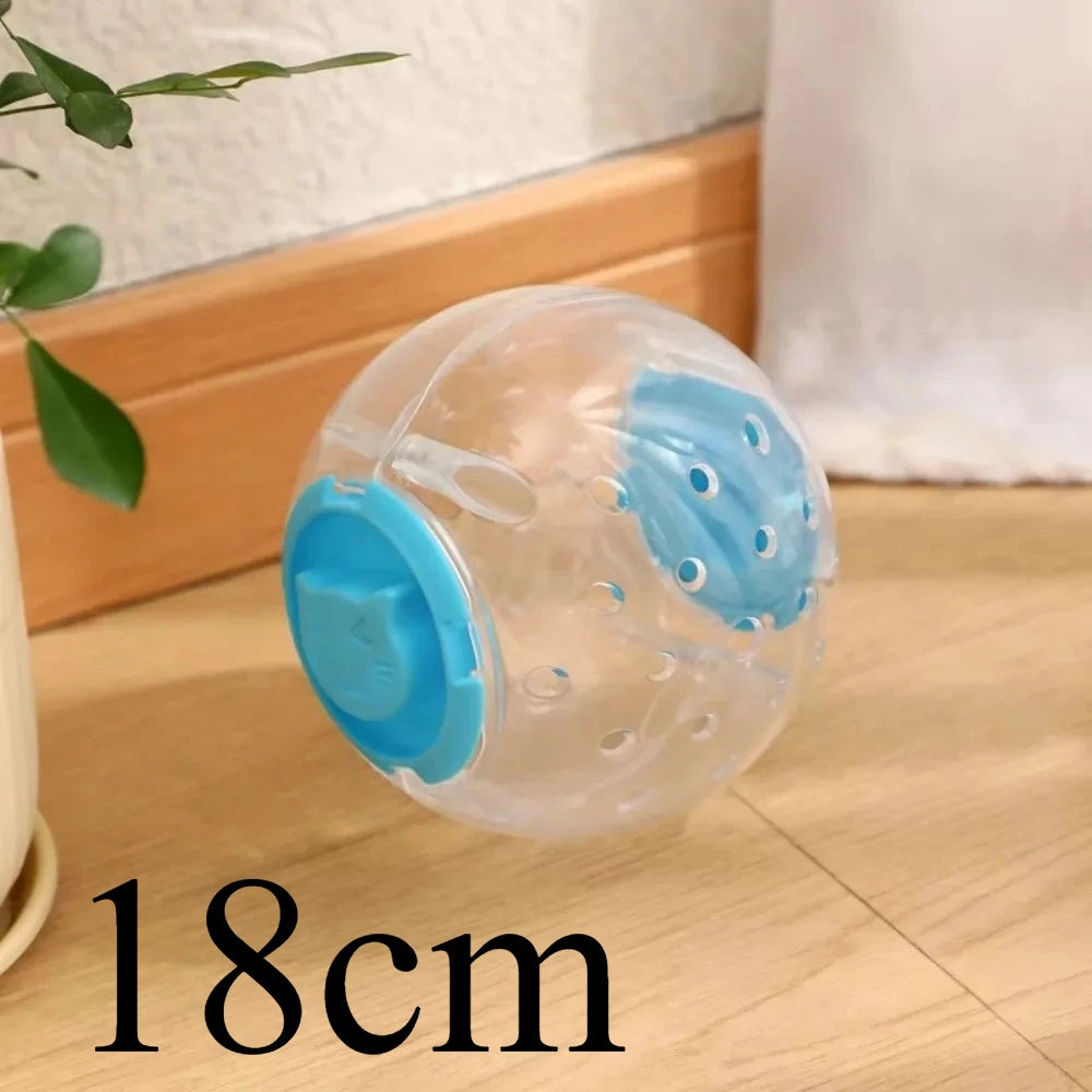 A clear plastic ball with blue accents used for hamster exercise and play.