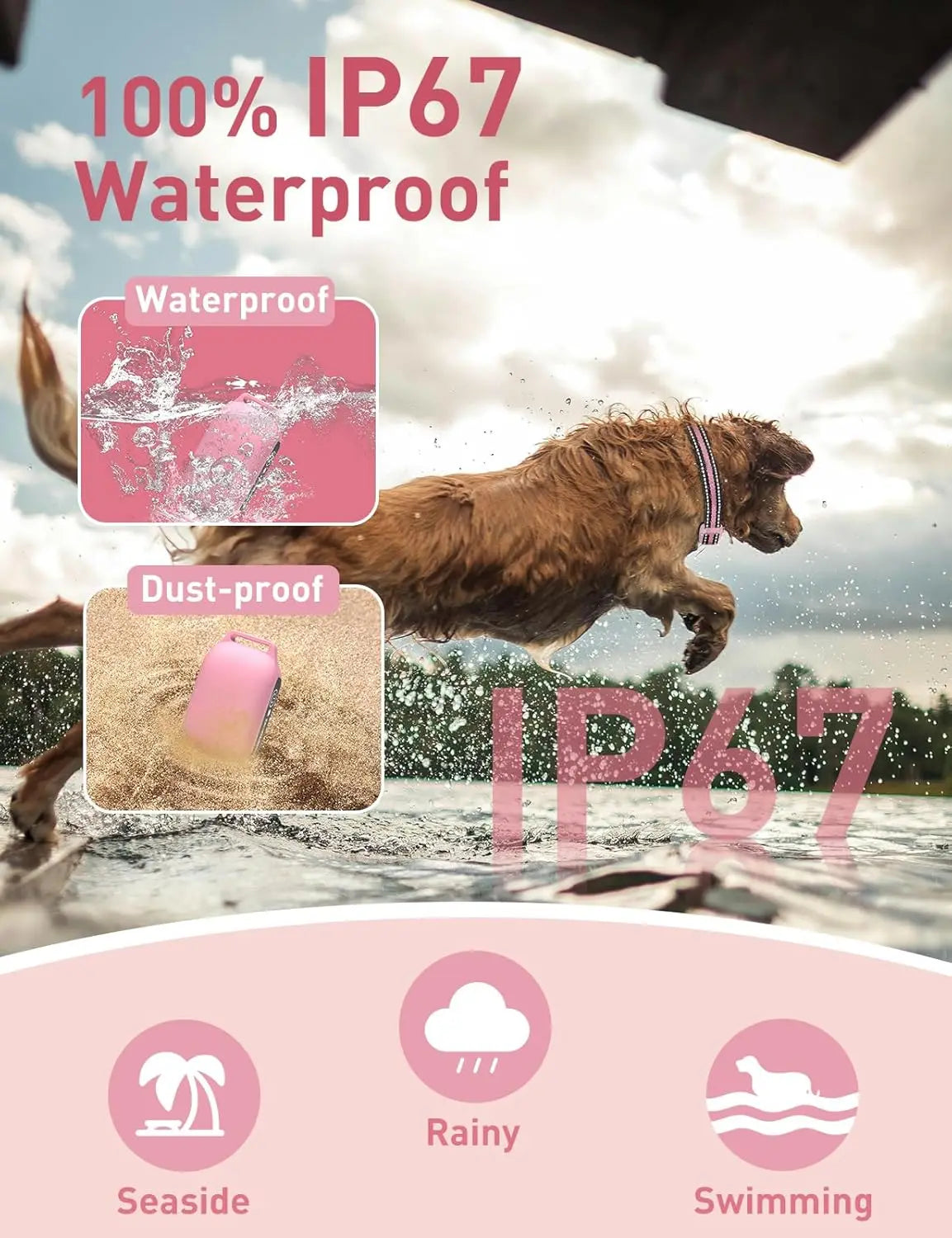 A brown dog is jumping through water, demonstrating the waterproof and dust-proof features of a training collar.