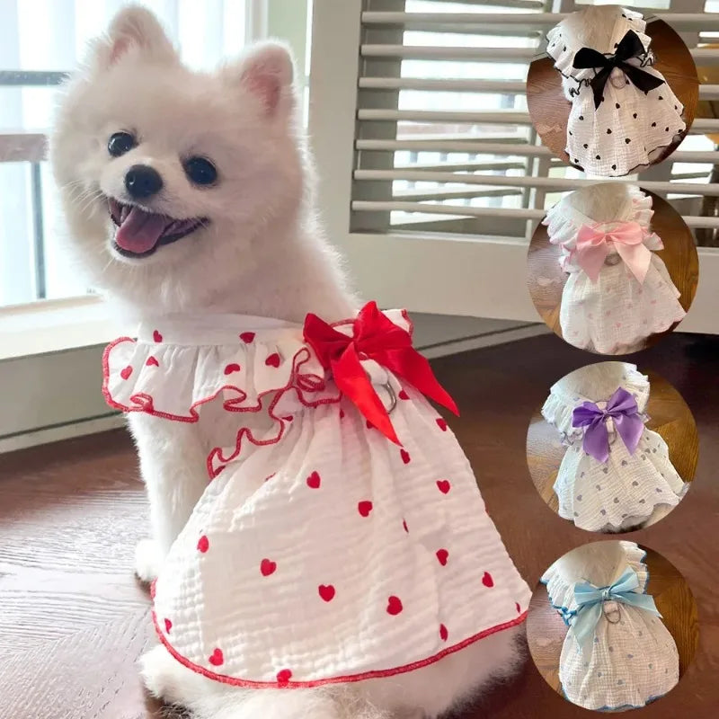 Flauschiger weißer Hund in einem weißen Kleid mit rotem Herzmuster und roter Schleife.