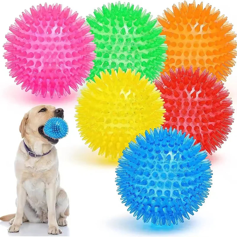 A collection of colorful spiky squeaky dog balls in pink, green, yellow, and orange, with a dog sitting nearby.