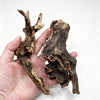 Eine Hand hält ein Stück natürliches Treibholz für Aquarium- und Terrarium-Dekoration.
