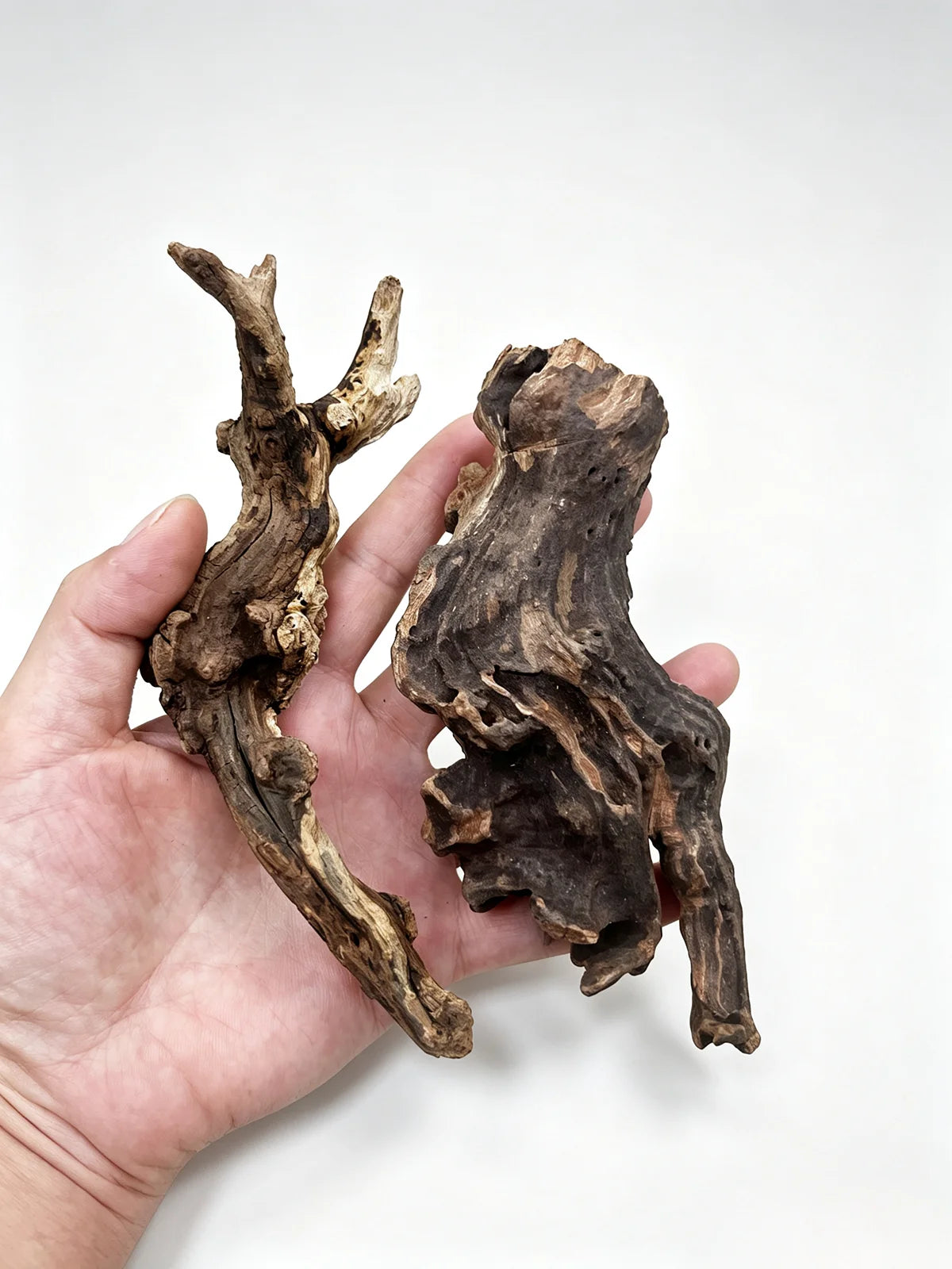 Eine Hand hält ein Stück natürliches Treibholz für Aquarium- und Terrarium-Dekoration.