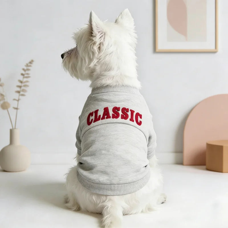A white dog wearing a gray letter print hoodie with the word CLASSIC on the back.