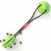 A bright lime green suction cup chew ball with a brown cord, designed for dog dental care and play.
