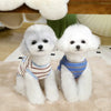 Two white fluffy dogs wearing striped cooling vests sitting on a light pink rug.