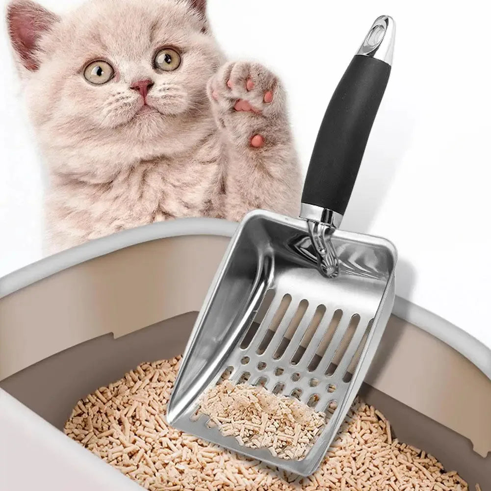 A stainless steel cat litter scoop with a long handle is shown next to a fluffy kitten and loose cat litter.