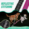 A dog is walking on a leash featuring reflective stitching and a bungee attachment for increased night visibility.