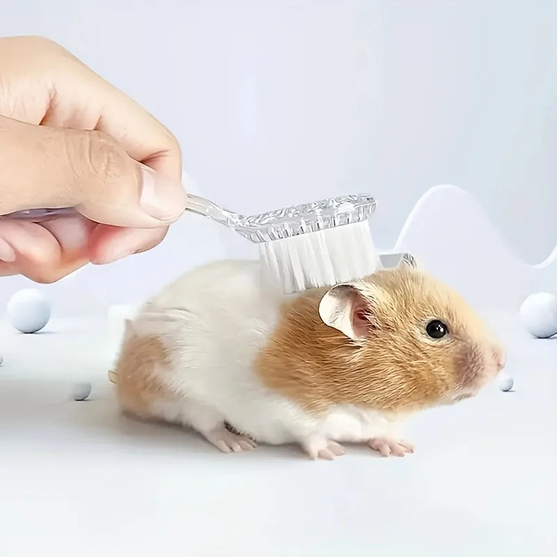 Ein kleiner braun-weißer Hamster wird mit einer klaren weichen Borstenbürste gepflegt.