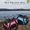A pink and black pet travel bag is placed on a rock near the ocean with lush green foliage in the background.