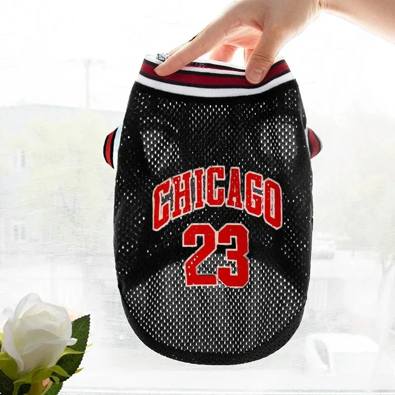 A black dog sports jersey with red lettering and the number 23 is being held by a hand.