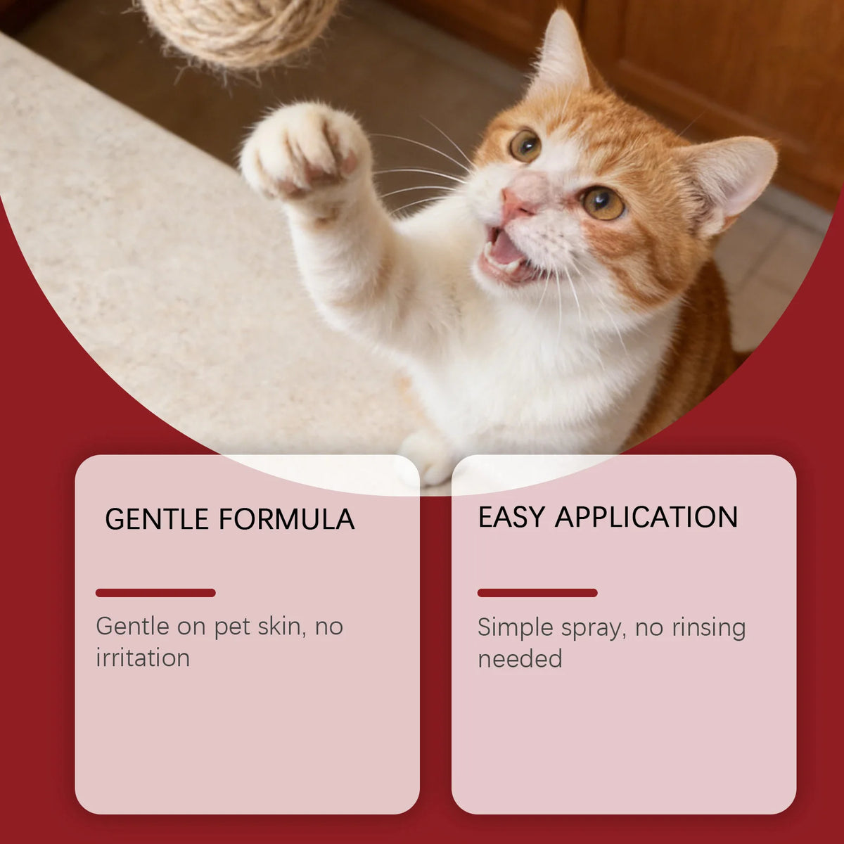 An orange and white cat looks at the camera while a product label is displayed.