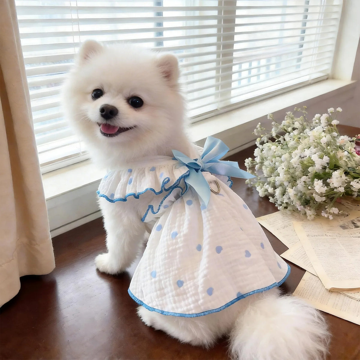 A fluffy white dog wearing a light blue breathable summer pet dress with a matching leash ring.