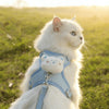 A white cat wearing a light blue animal walking harness and leash set outdoors in a grassy field.