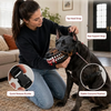 A woman is putting a funny dog muzzle costume on a black dog, showing the quick release buckle and rear support strap feature