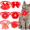 A fluffy gray cat wearing a red lace bow tie collar accessory.