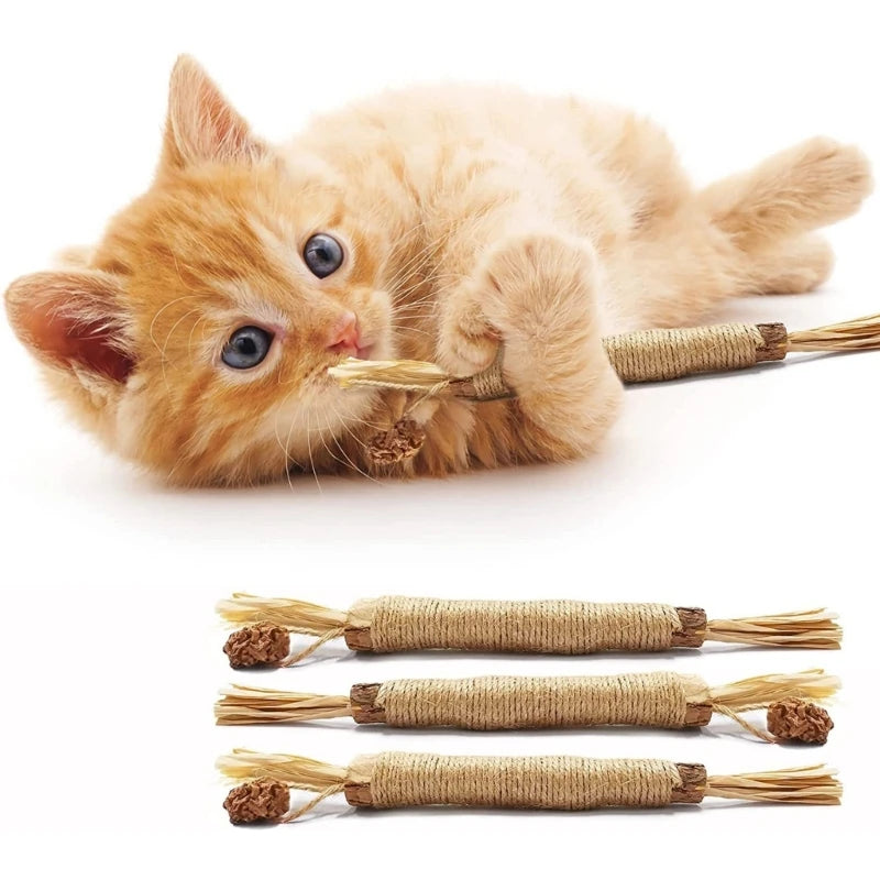 A small orange kitten is lying down next to several natural silvervine cat chews and dental health toys.