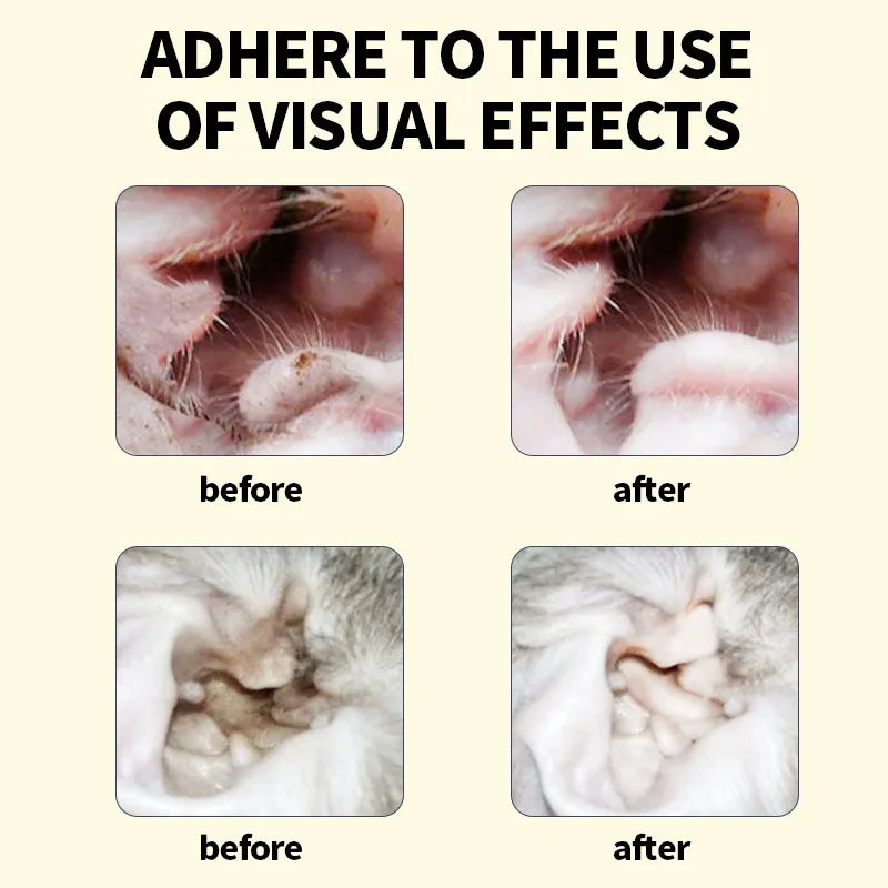 Images avant et après montrant l'utilisation d'effets visuels pour le nettoyant naturel pour les oreilles des animaux de comp