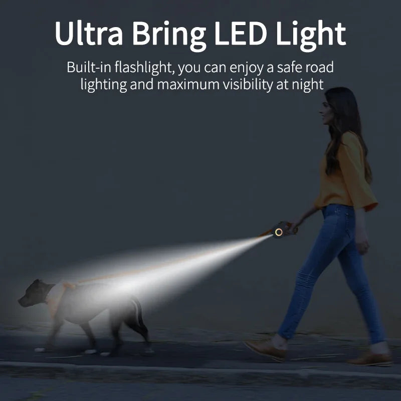 A woman is using an Ultra Bring LED light to illuminate a dog during a walk at night.