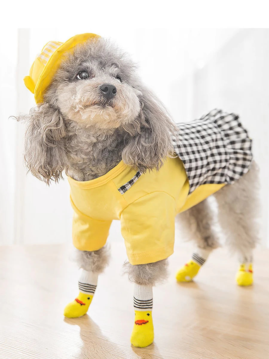 A fluffy grey dog wearing a yellow shirt and matching pet socks.