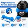 Un perro negro sostiene un juguete masticable dental azul texturizado diseñado para reducir sarro y mal aliento.