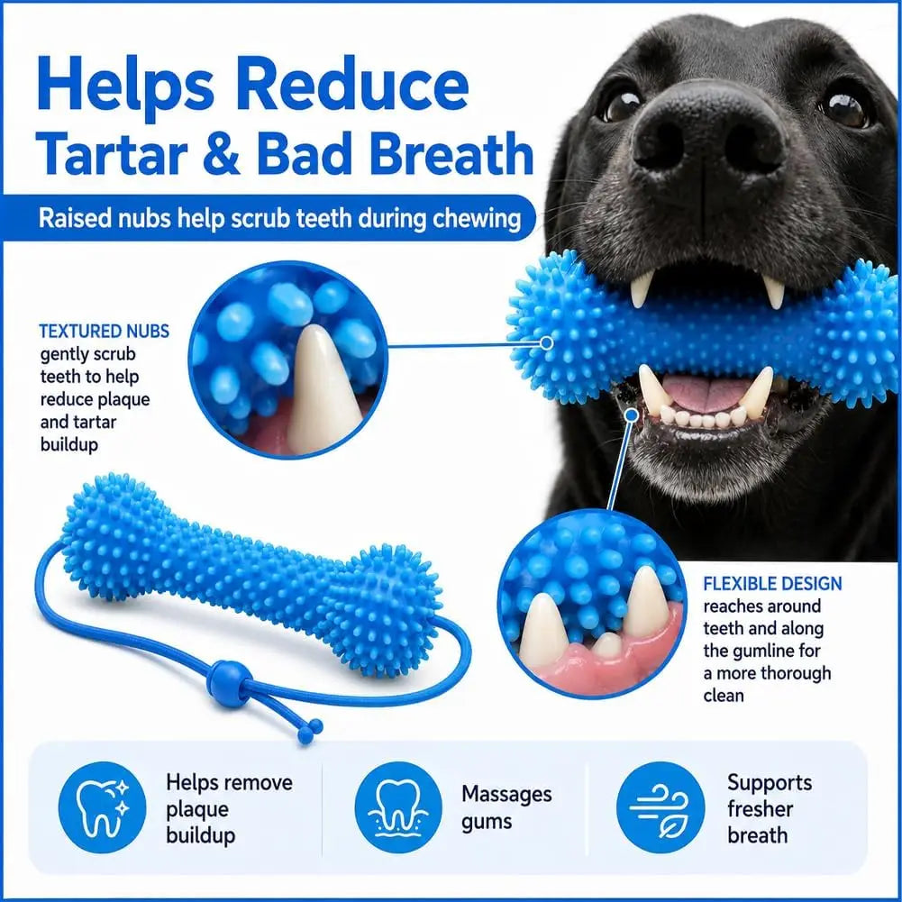 Un perro negro sostiene un juguete masticable dental azul texturizado diseñado para reducir sarro y mal aliento.