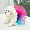 A fluffy white dog is sitting next to a sheer, multi-colored tulle tutu dress.