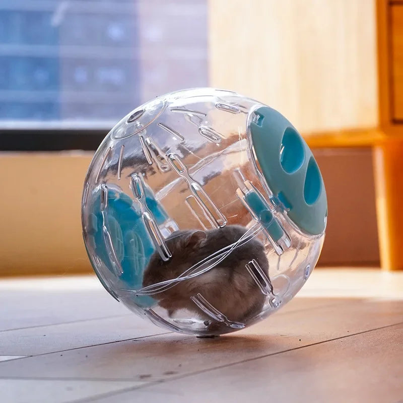 A clear exercise ball for small rodents with internal structures and a dark fur sample visible.
