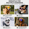 Collage von Hundegoggles bei Outdoor-Läufen, Autofahrten, Schneefeldern und Campingabenteuern.