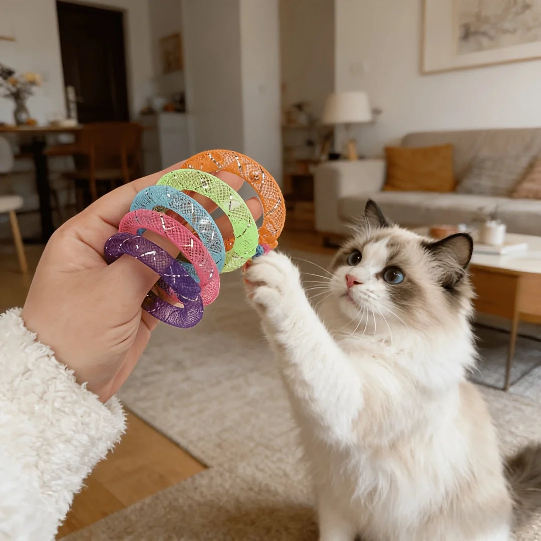 A fluffy white cat plays with a hand-held set of colorful mesh donut chew toys.
