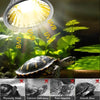 UVB-Reptilienheizlampe, die eine Schildkröte in natürlicher Umgebung beleuchtet