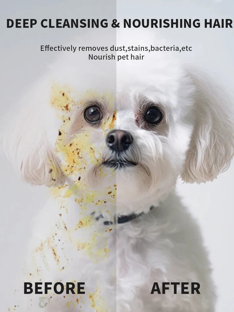 Before and after comparison of pet hair cleaning using deep cleansing and nourishing techniques