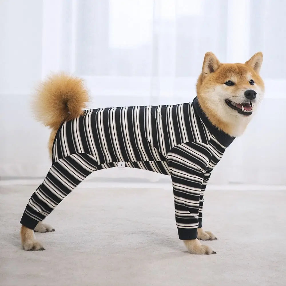A fluffy Shiba Inu wearing a black and white striped jumpsuit standing on a light surface.