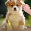 A dog is shown with a person gently cleaning its ear using a white wipe.