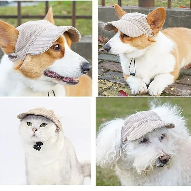 Four images showing a durable baseball cap for large dogs on a dog and a cat.