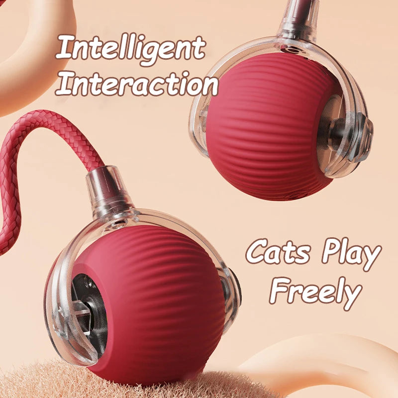 A red, textured ball-shaped cat toy is shown in various stages of interaction with a cat's paw and tail.