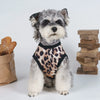 A small, fluffy dog wearing a leopard print vest, sitting against a white background.