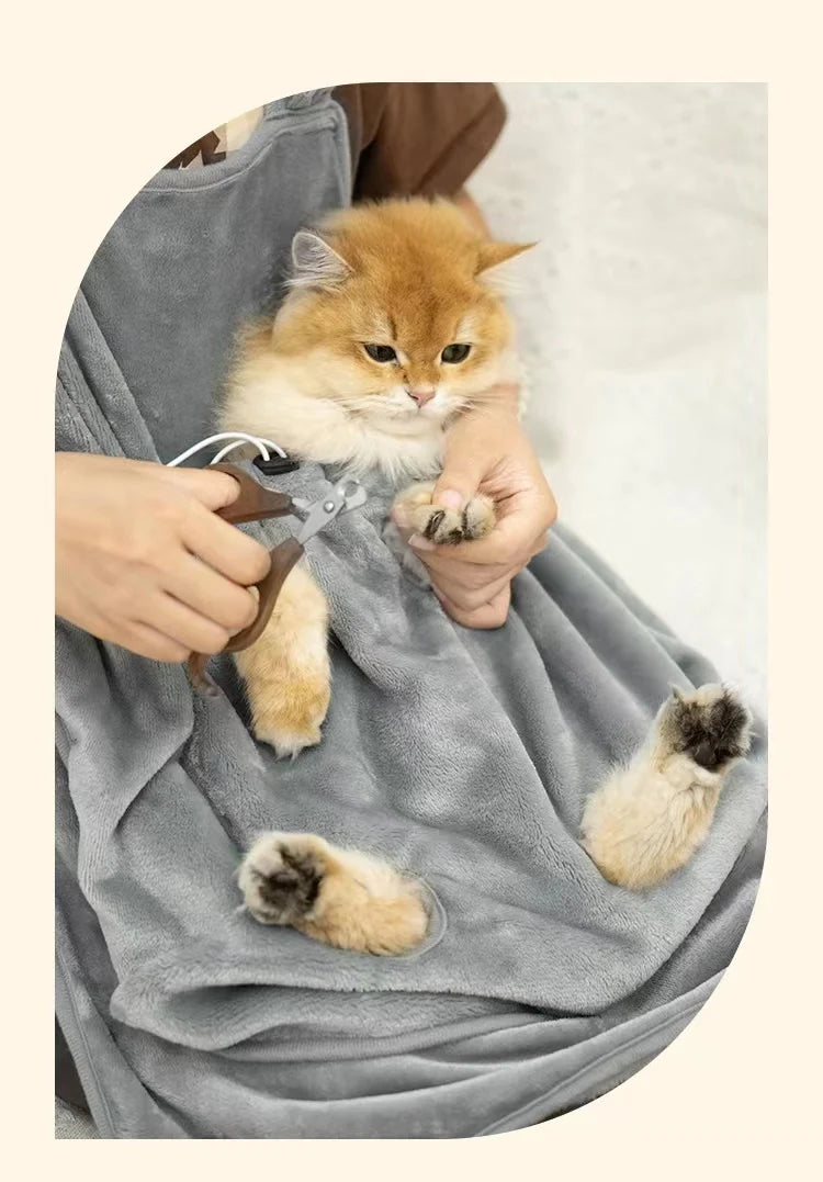 Un pequeño gatito atigrado naranja es sostenido por una persona dentro de un delantal transportador para mascotas gris exteri