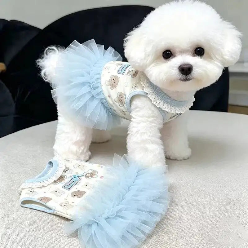 Ein flauschiger weißer Hund in einem hellblauen, gerafften Sommerkleid für Haustiere.