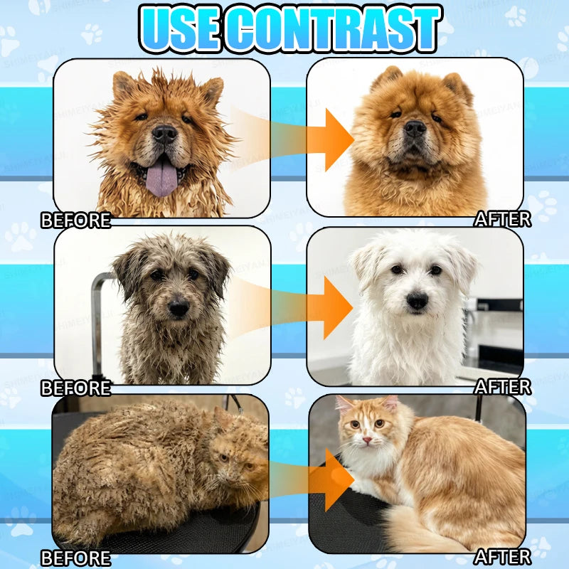 Before and after comparison showing the transformation of a dog's fur and a cat's fur using hypoallergenic shampoo.