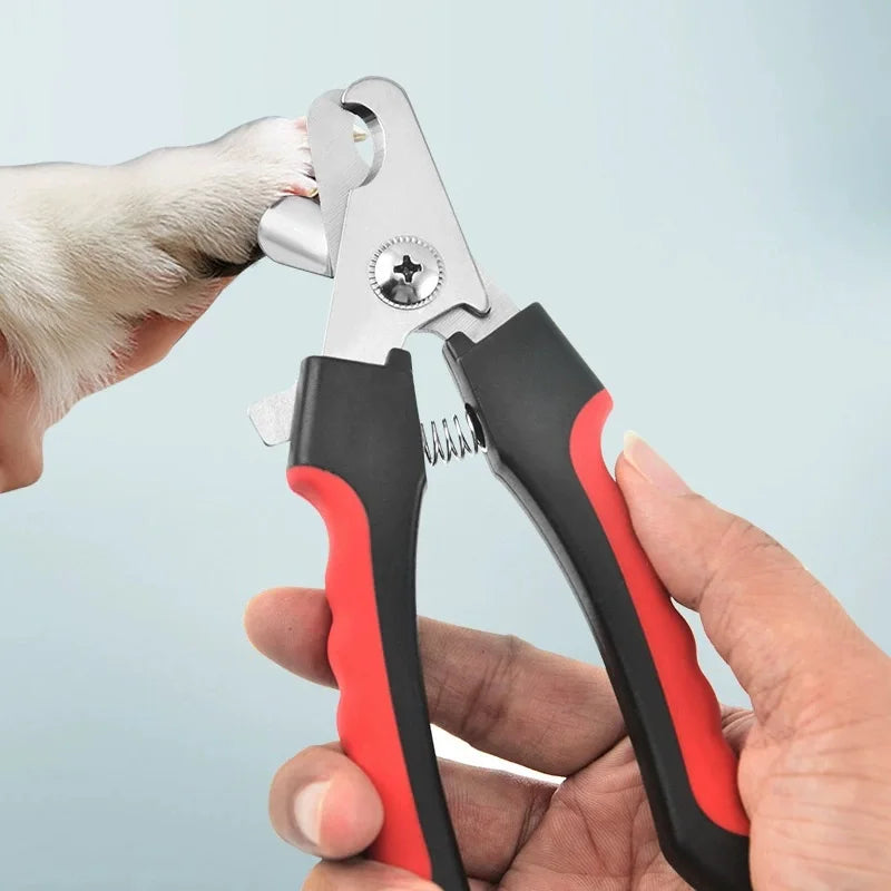 Eine Hand hält schwere Nagelschere für Haustiere mit schwarzen und roten Griffen in der Nähe einer Katzenpfote.
