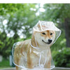 Un chien portant un imperméable en PVC souple transparent à l'extérieur.