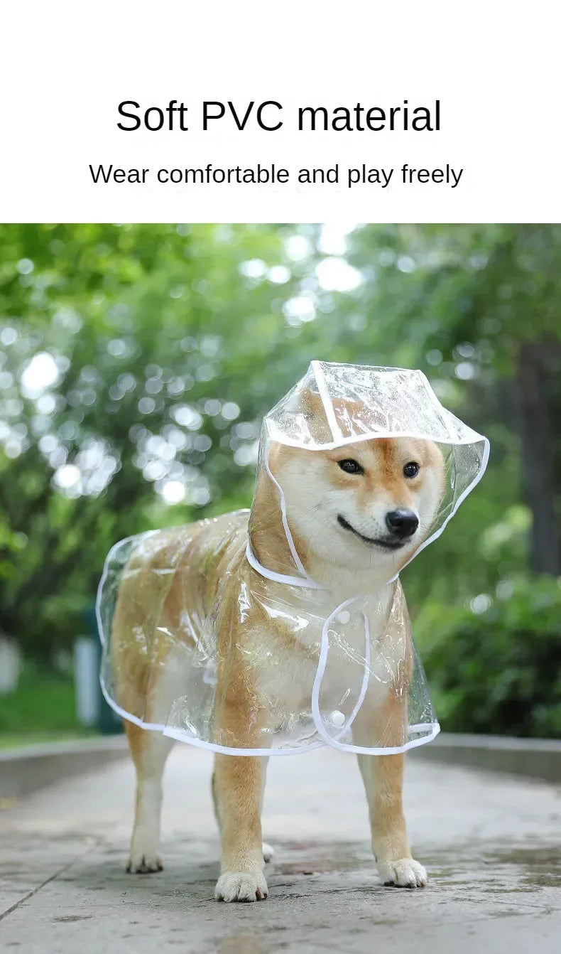 Un chien portant un imperméable en PVC souple transparent à l'extérieur.