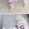 Ein weißer Hund trägt ein rosa-schwarzes Trikot mit Chicago-Schriftzug.