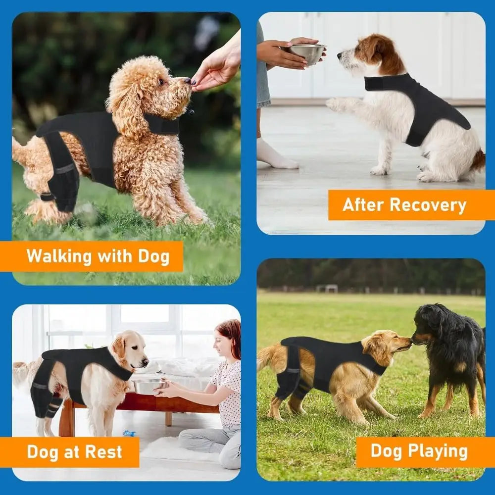 A dog wearing a black knee brace is shown walking and playing outdoors.
